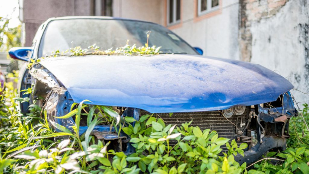 non usable blue color junk car covered by grass